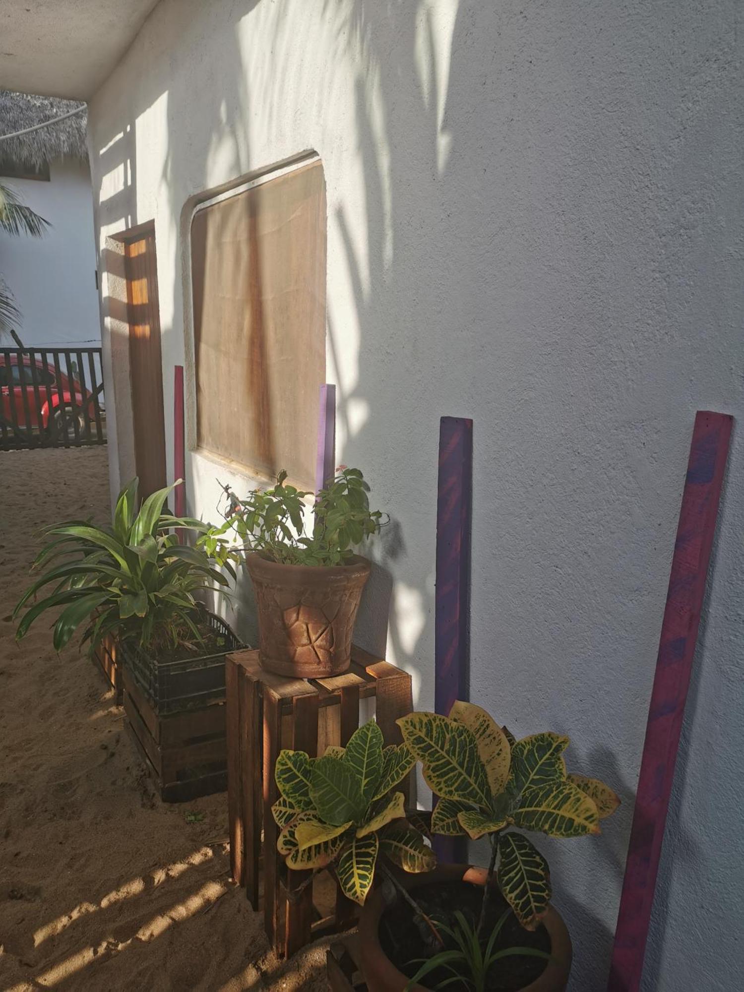Hotel La Maxima & Lgbt Zipolite Zimmer foto